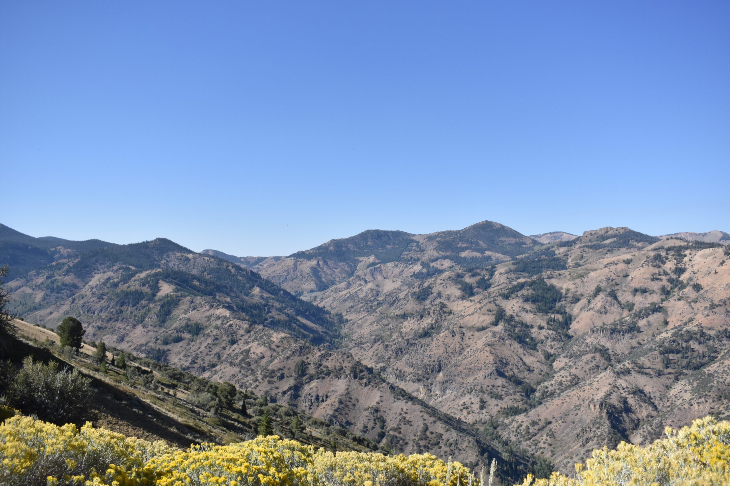 Jarbidge Community Association Logo